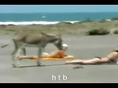 Barba tre sexy calciatori film porno vecchie troie